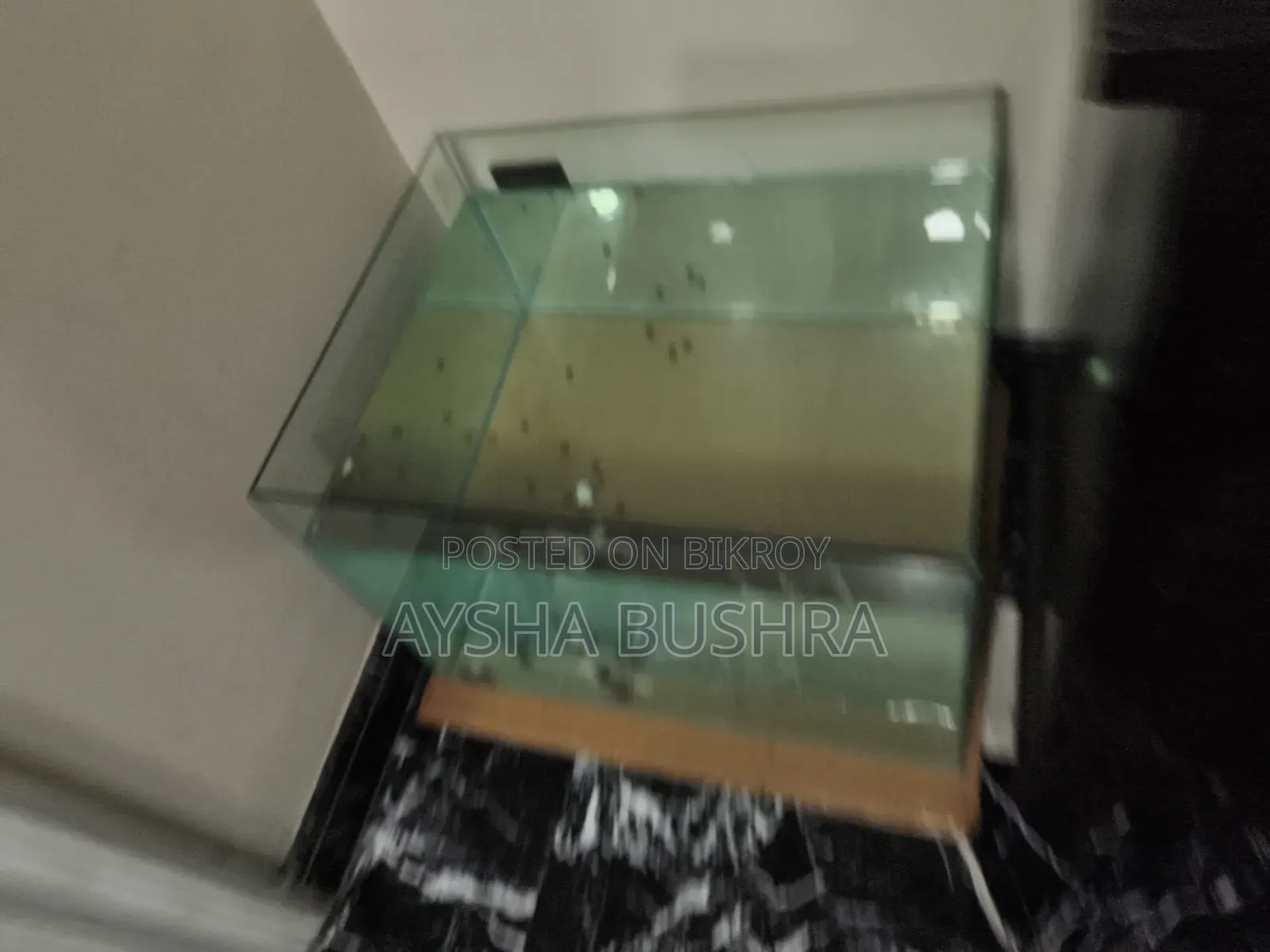Aquarium Empty Tank