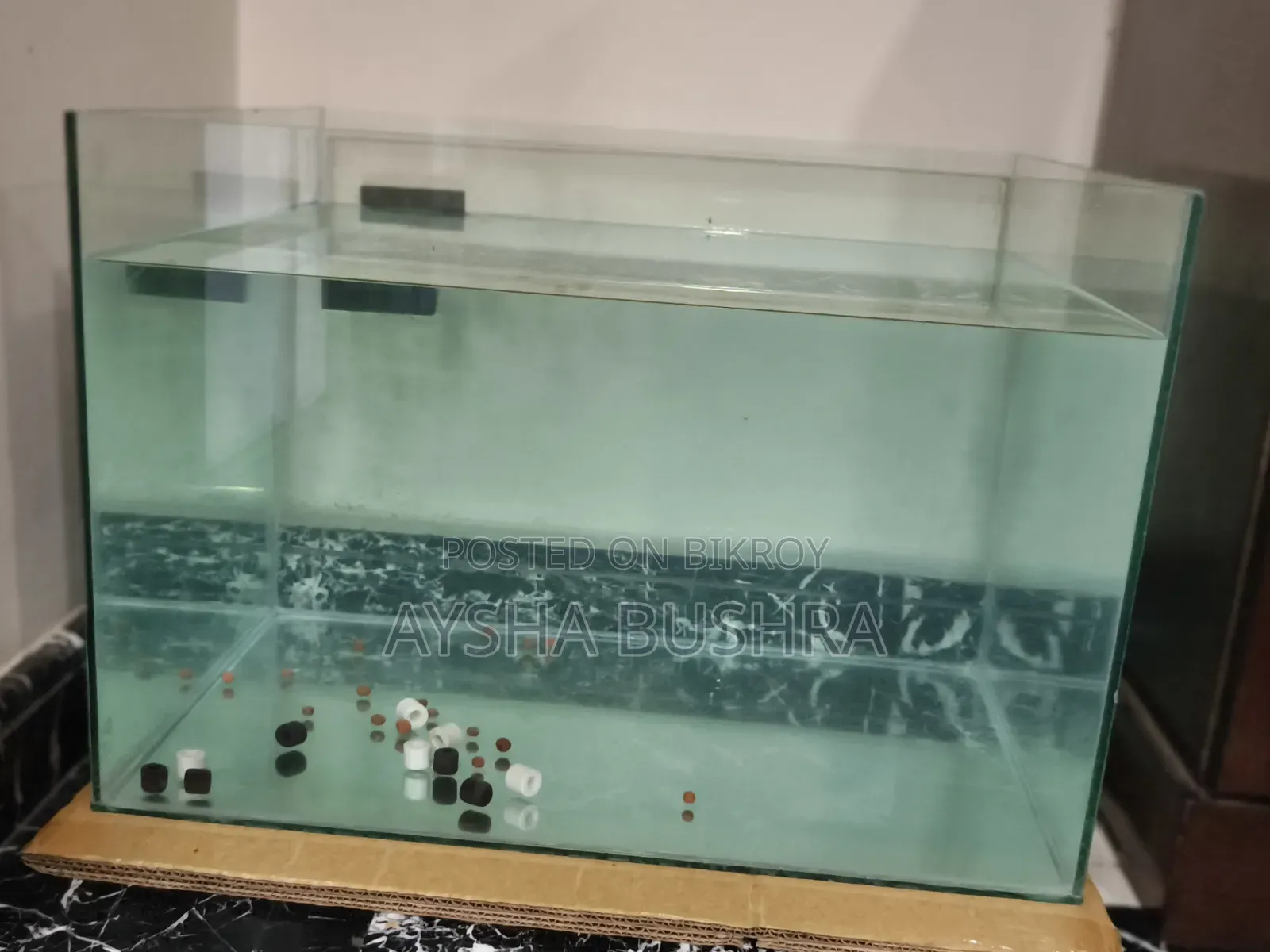 Aquarium Empty Tank