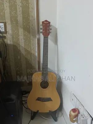 টেইস্ট ট্রাভেল গিটার পারফেক্ট কন্ডিশন