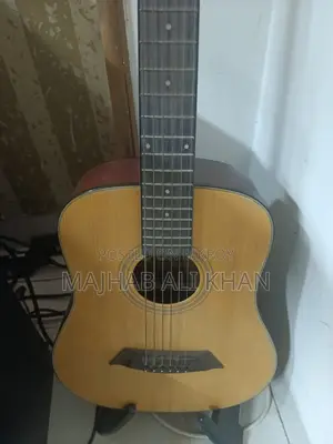 টেইস্ট ট্রাভেল গিটার পারফেক্ট কন্ডিশন
