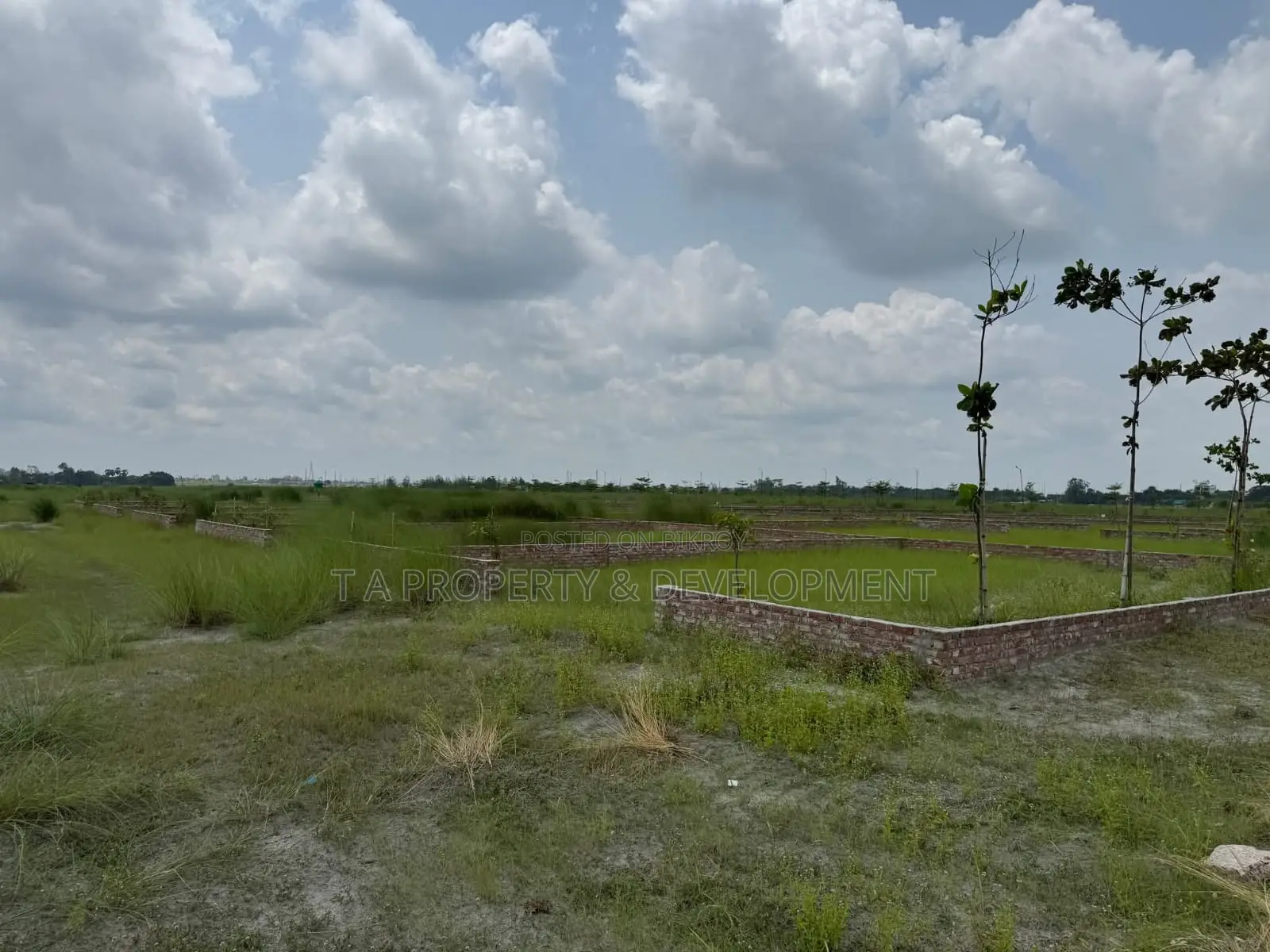 3 Katha North Facing Plot Sell , N Block