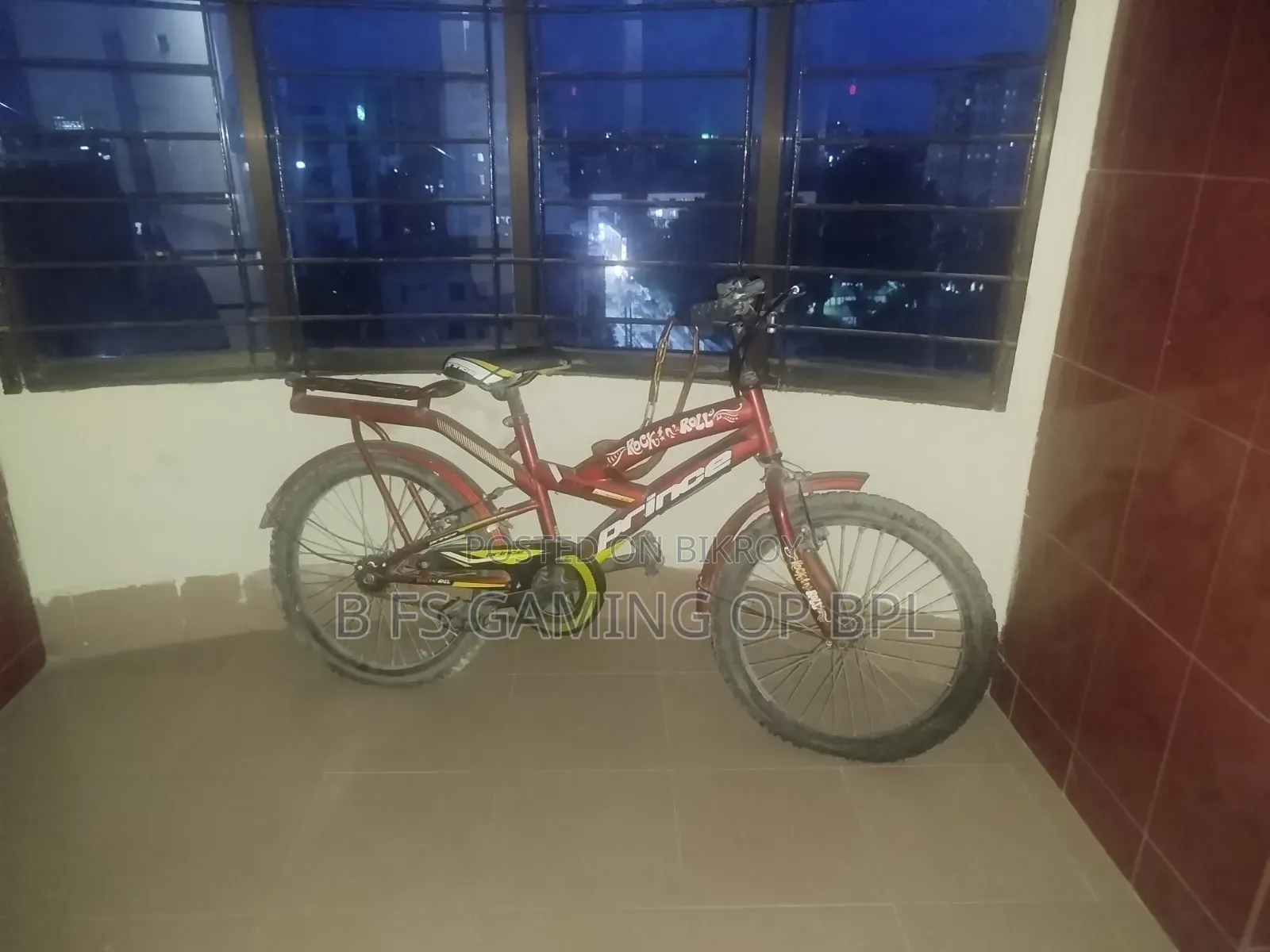 প্রিন্স বাইসাইকেল