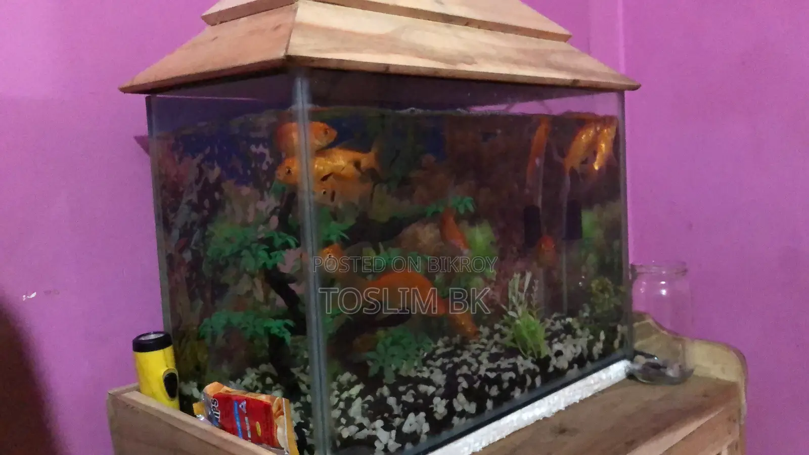 একুরিয়াম বিক্রি হবে