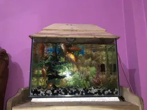 একুরিয়াম বিক্রি হবে