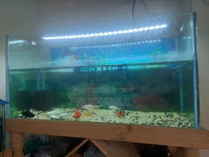 অ্যাকুরিয়াম ৩ ফুট