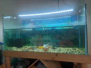 অ্যাকুরিয়াম ৩ ফুট