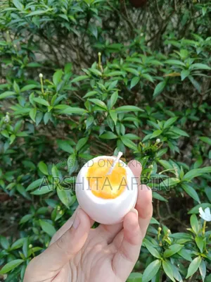 Cute Egg Candle