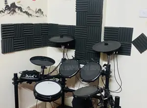 V Drums / Electric Drums