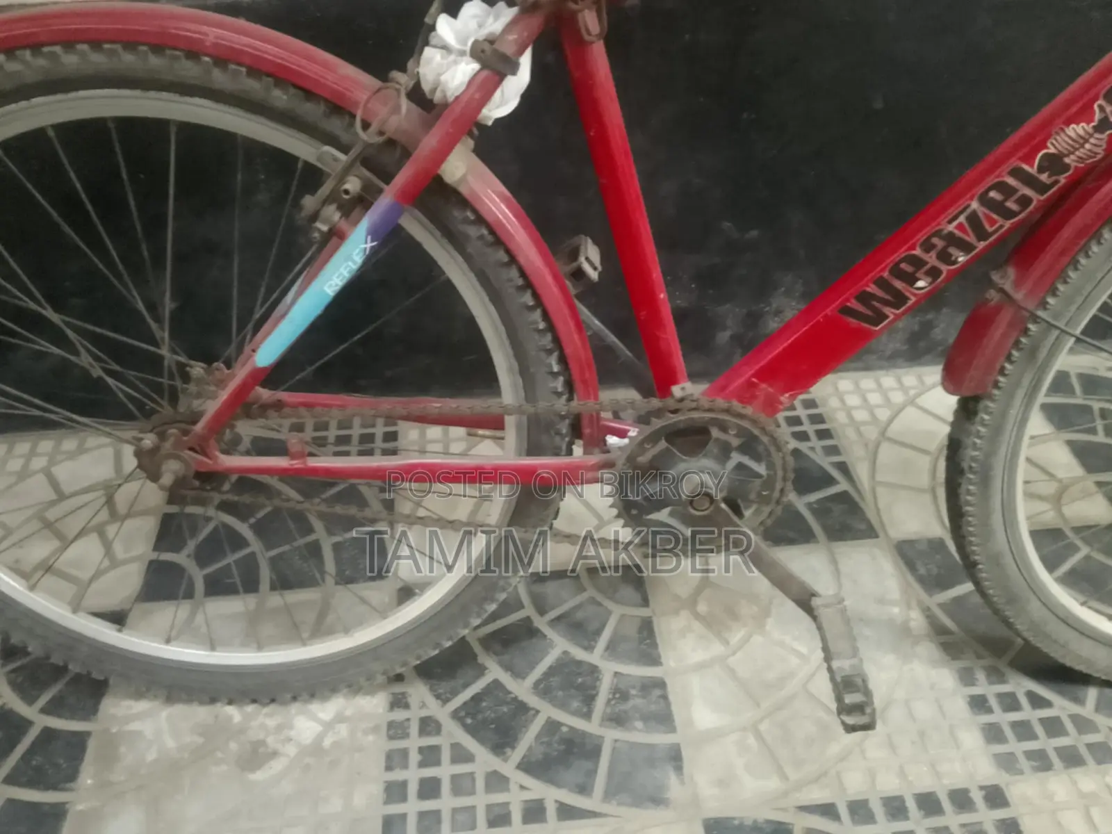 Weazel Fish 24' Cycle