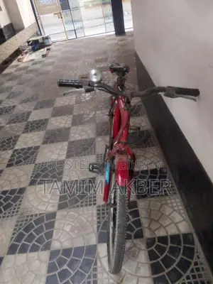 Weazel Fish 24' Cycle