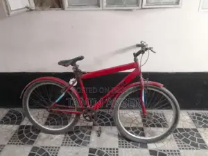 Weazel Fish 24' Cycle