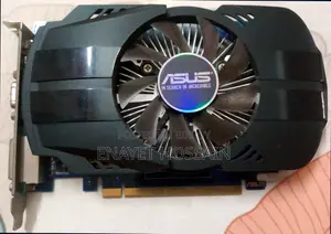 Two 2GB Graphics Cards