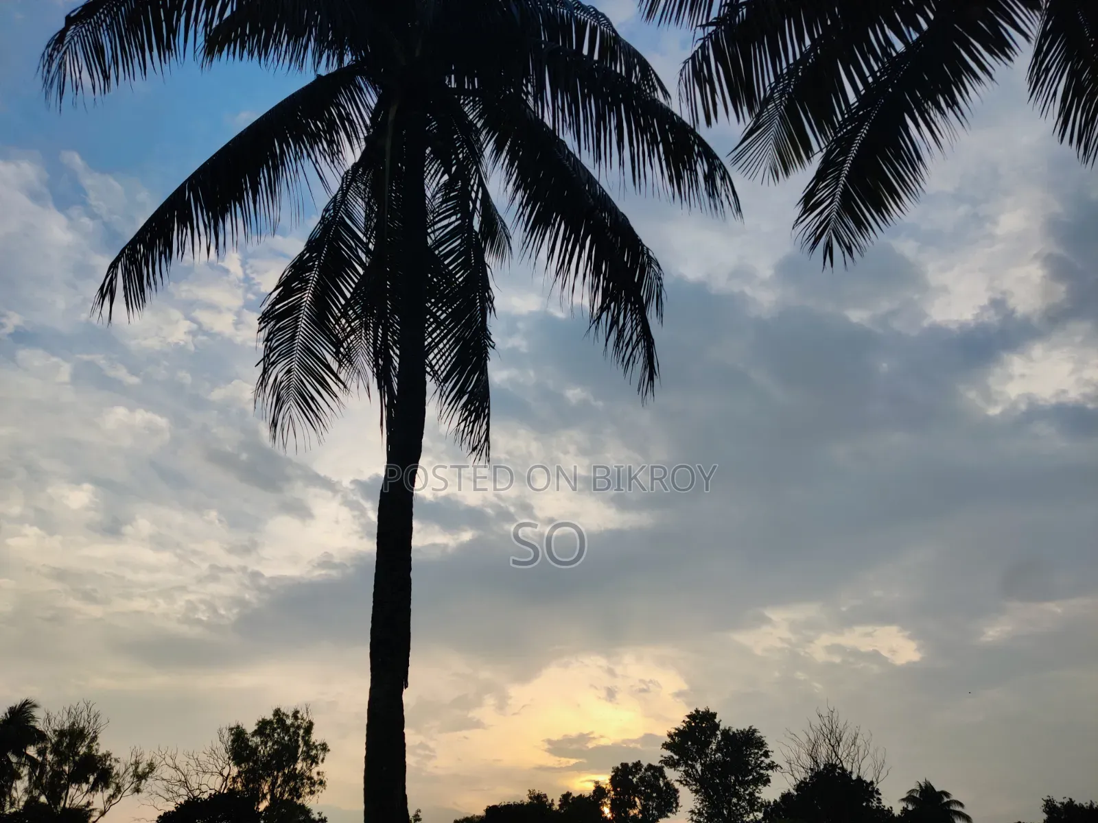 ওয়ানপ্লাস ৯আর ২৫৬ জিবি সিলভার