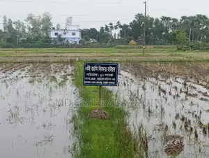 জমি বিক্রয় ৬১ শতক – জয়পুরহাট, ত্রিমোহনী,কালাই