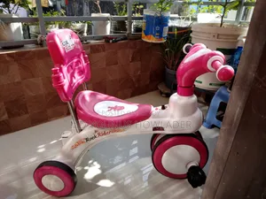 Kids Bicycle (RFL Rock Rider)