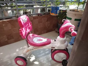 Kids Bicycle (RFL Rock Rider)