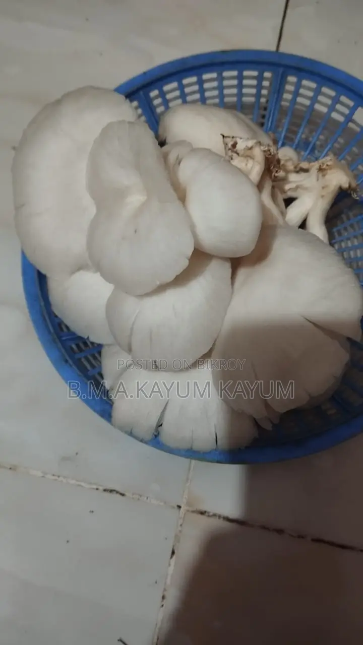 ফ্রেশ অয়েস্টার মাশরুম | Fresh Oyster Mushroom | হোম ডেলিভারি