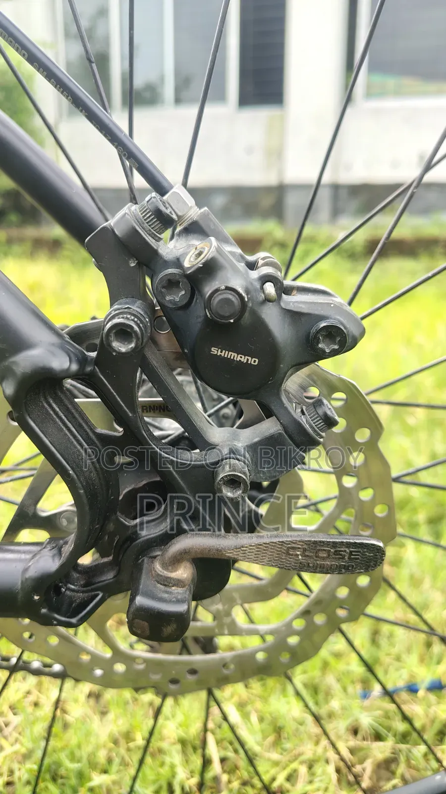 Veloce Legion 40 (Oil Brake)