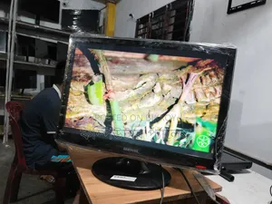 24 Samsung Fresh Monitor