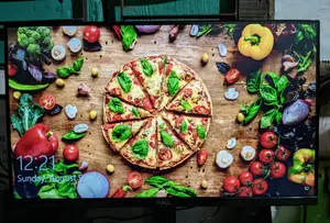 Dell 22-inch Monitor