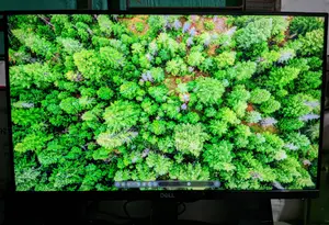 Dell 22-inch Monitor