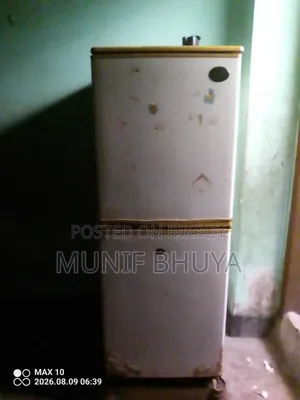 Electric Fridge