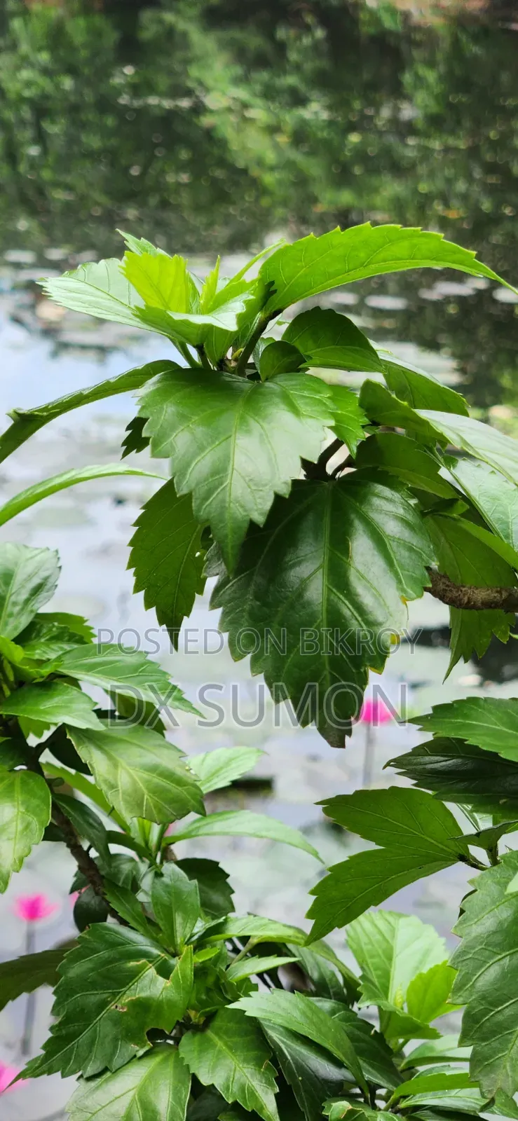 স্যামসাং গ্যালাক্সি এস২২ ৫জি ১২৮ জিবি ব্ল্যাক