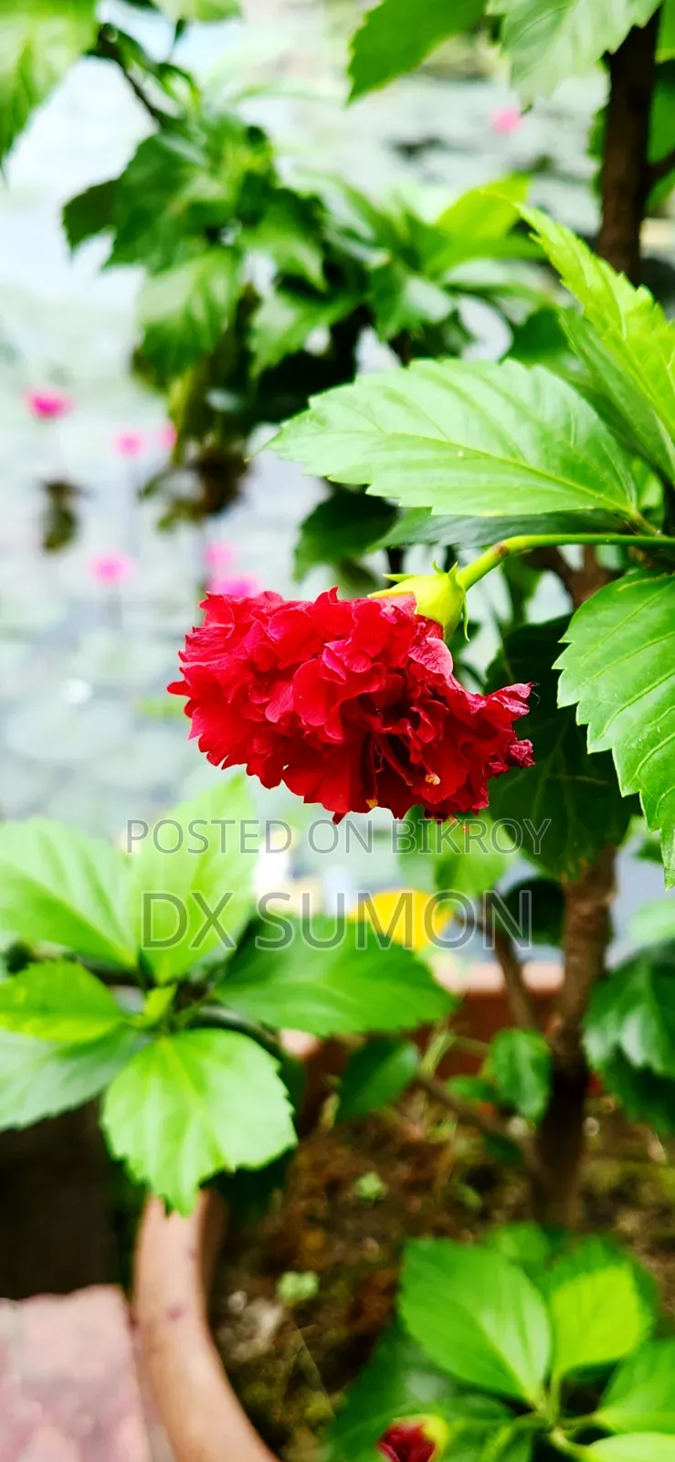 স্যামসাং গ্যালাক্সি এস২২ ৫জি ১২৮ জিবি ব্ল্যাক
