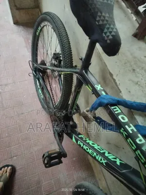Phoenix 26” Mountain Bike