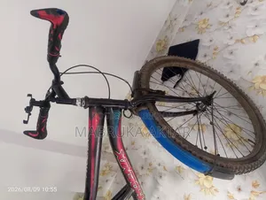 Phoenix Cycle
