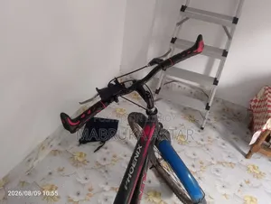 Phoenix Cycle