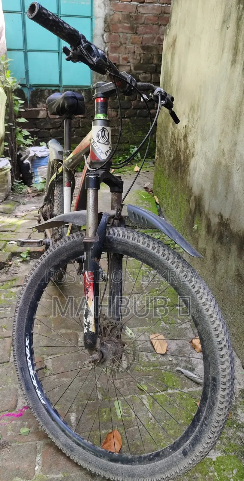 বাইসাইকেল সাইকেল