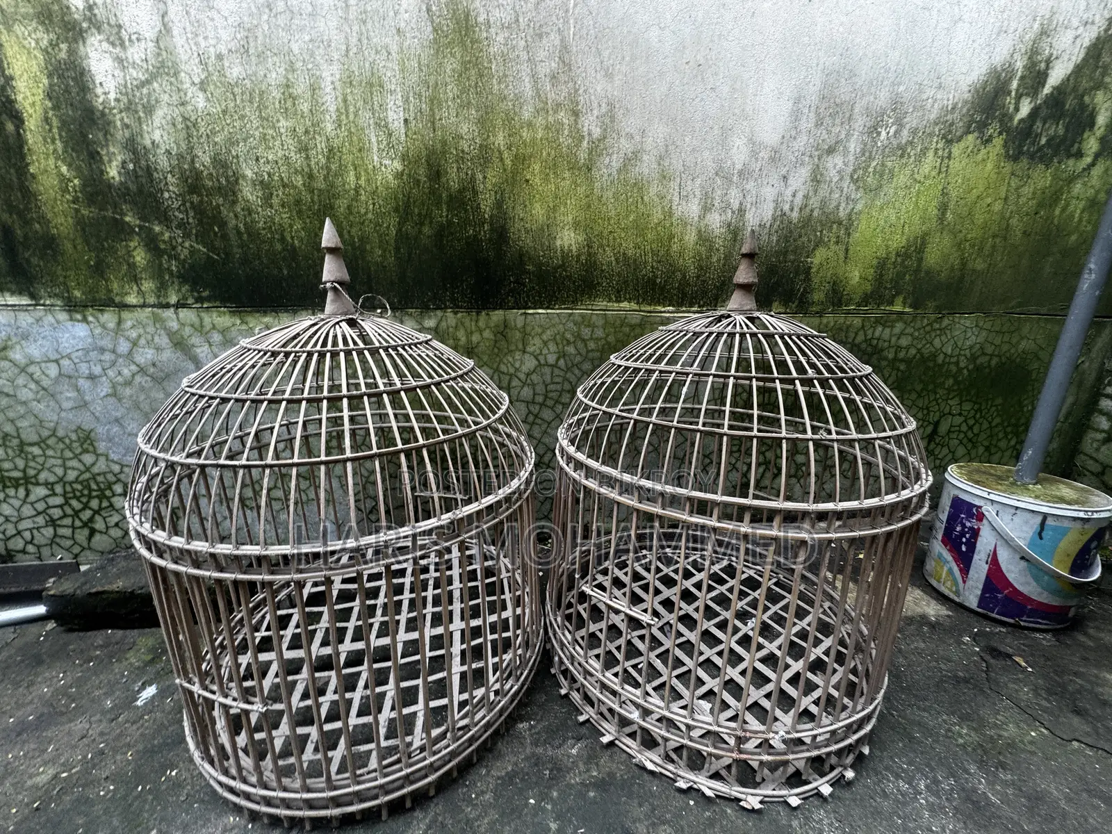 Bird Cage for Small Birds
