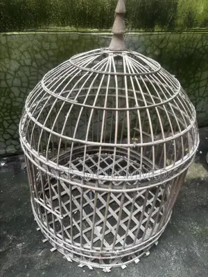 Bird Cage for Small Birds