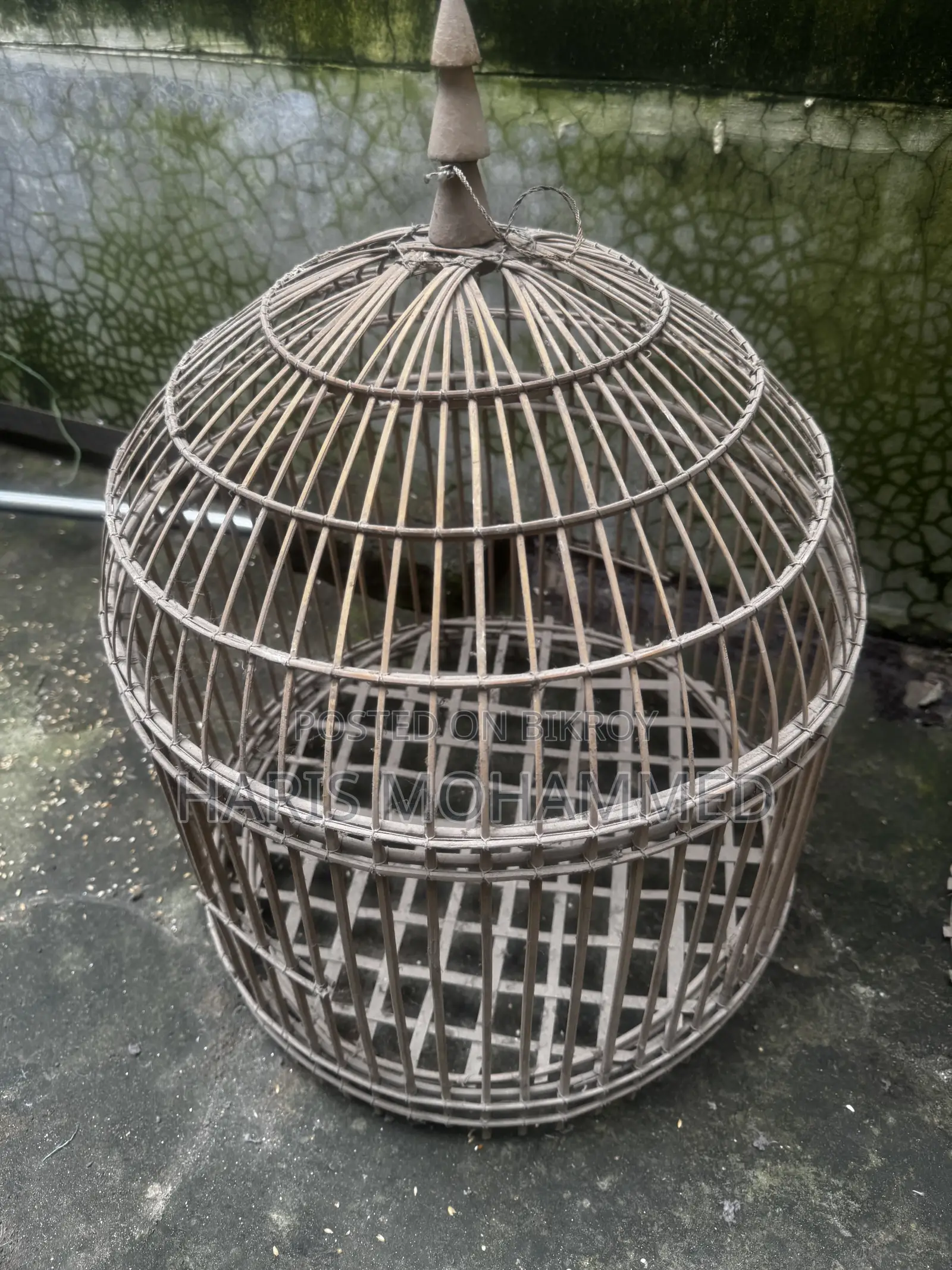 Bird Cage for Small Birds