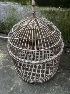 Bird Cage for Small Birds