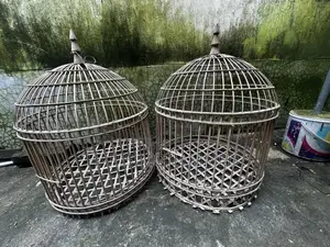 Bird Cage for Small Birds