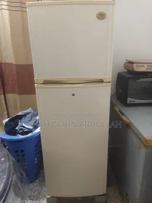 LG Refrigerator (Fridge)