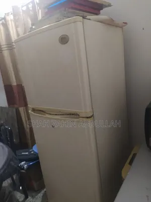 LG Refrigerator (Fridge)