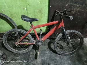 20 Size Baby Cycle
