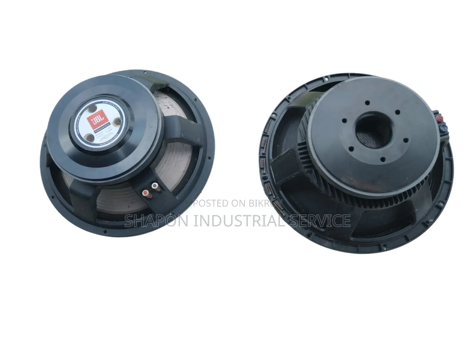 15" Professional Speaker