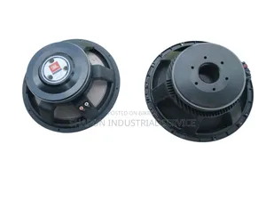 15" Professional Speaker