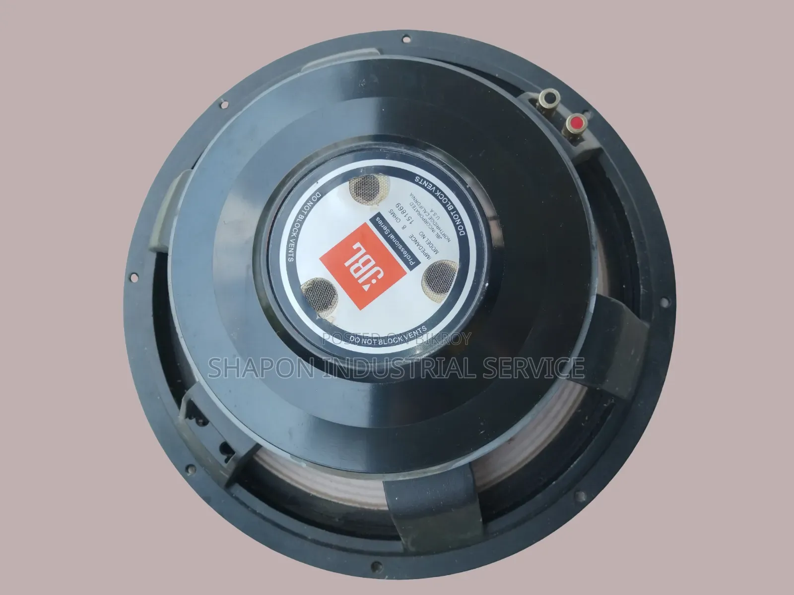 15" Professional Speaker