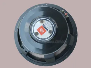 15" Professional Speaker