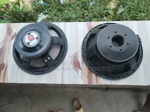 15" Professional Speaker