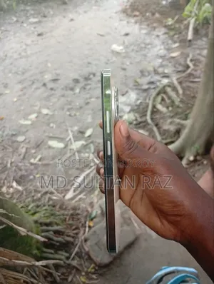 রিয়েলমি ১০ প্রো প্লাস ২৫৬ জিবি গোল্ড