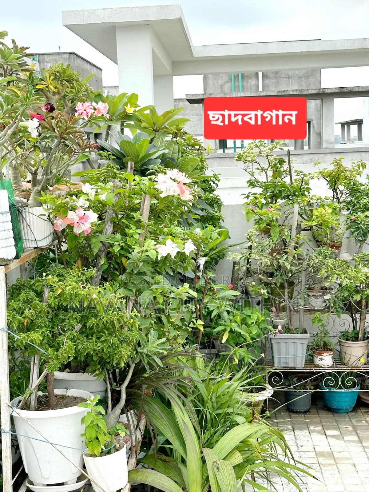 3bdrm Condo in Navana Real Estate, Mirpur for Sale