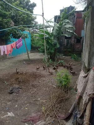 জমি বা প্লট