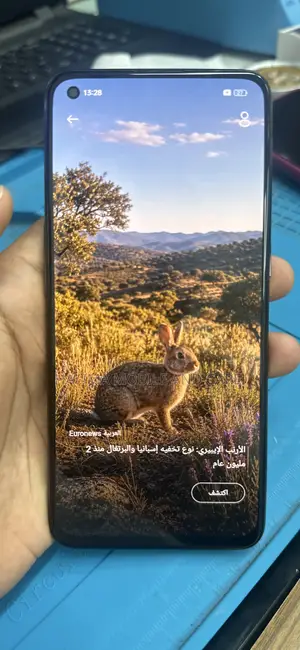 Realme GT Master Edition 256 GB Gray