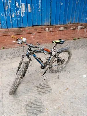 Bicycle for sale